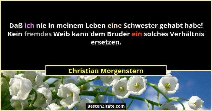 Daß ich nie in meinem Leben eine Schwester gehabt habe! Kein fremdes Weib kann dem Bruder ein solches Verhältnis ersetzen.... - Christian Morgenstern