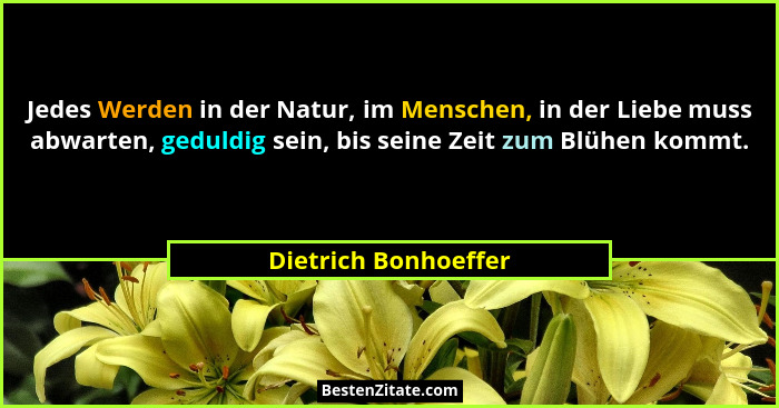 Jedes Werden in der Natur, im Menschen, in der Liebe muss abwarten, geduldig sein, bis seine Zeit zum Blühen kommt.... - Dietrich Bonhoeffer