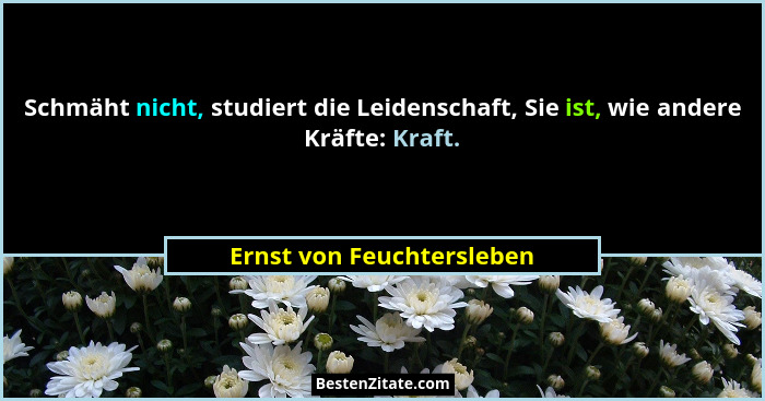 Schmäht nicht, studiert die Leidenschaft, Sie ist, wie andere Kräfte: Kraft.... - Ernst von Feuchtersleben