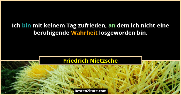 Ich bin mit keinem Tag zufrieden, an dem ich nicht eine beruhigende Wahrheit losgeworden bin.... - Friedrich Nietzsche