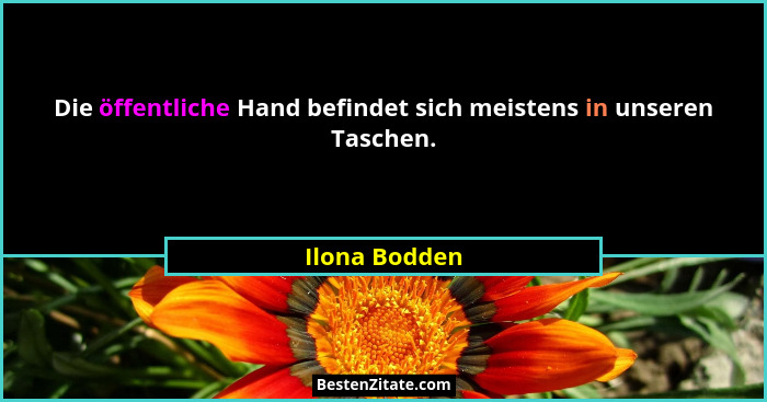 Die öffentliche Hand befindet sich meistens in unseren Taschen.... - Ilona Bodden