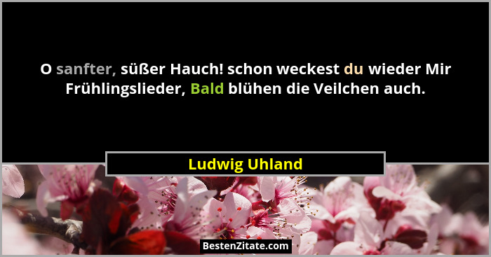 O sanfter, süßer Hauch! schon weckest du wieder Mir Frühlingslieder, Bald blühen die Veilchen auch.... - Ludwig Uhland