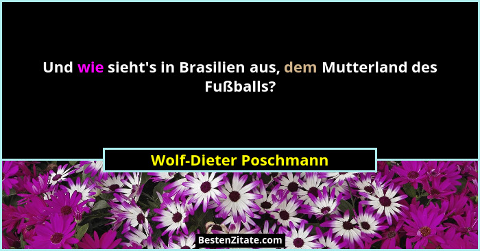 Und wie sieht's in Brasilien aus, dem Mutterland des Fußballs?... - Wolf-Dieter Poschmann