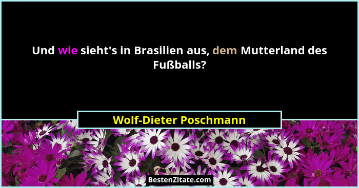 Und wie sieht's in Brasilien aus, dem Mutterland des Fußballs?... - Wolf-Dieter Poschmann