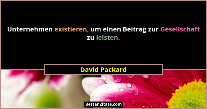 Unternehmen existieren, um einen Beitrag zur Gesellschaft zu leisten.... - David Packard