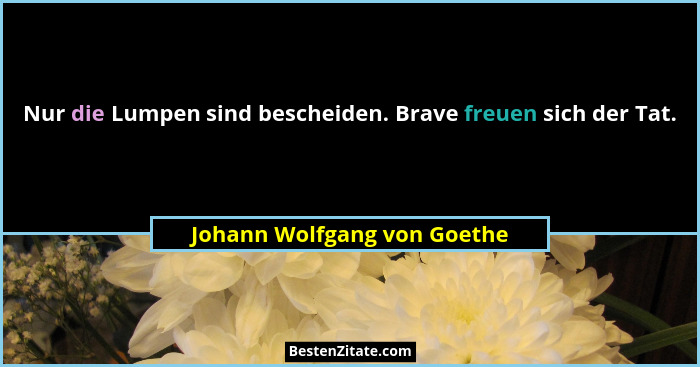Nur die Lumpen sind bescheiden. Brave freuen sich der Tat.... - Johann Wolfgang von Goethe