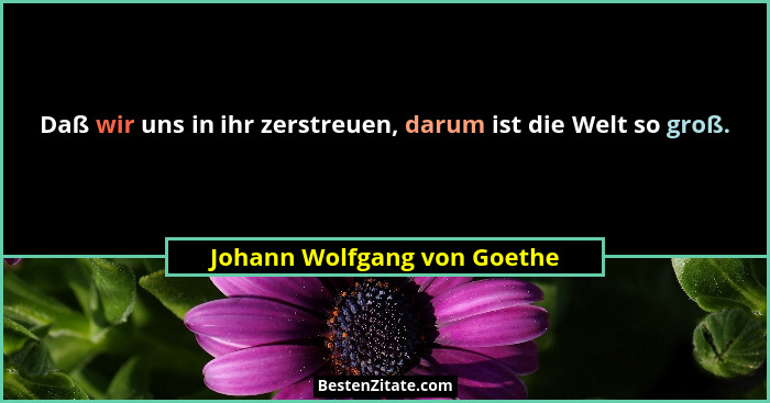 Daß wir uns in ihr zerstreuen, darum ist die Welt so groß.... - Johann Wolfgang von Goethe