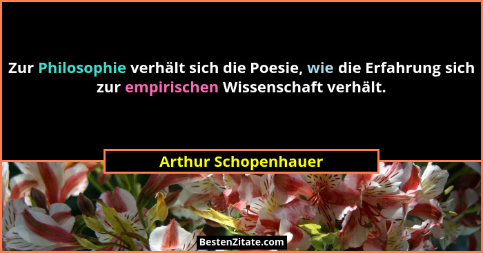 Zur Philosophie verhält sich die Poesie, wie die Erfahrung sich zur empirischen Wissenschaft verhält.... - Arthur Schopenhauer