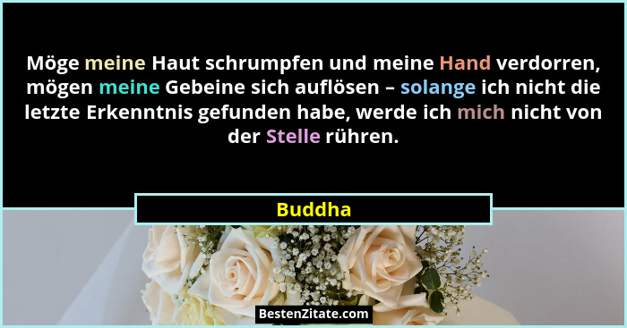 Möge meine Haut schrumpfen und meine Hand verdorren, mögen meine Gebeine sich auflösen – solange ich nicht die letzte Erkenntnis gefunden hab... - Buddha