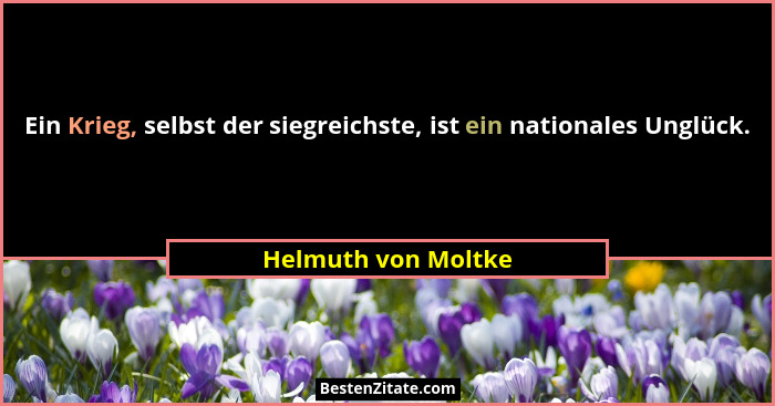 Ein Krieg, selbst der siegreichste, ist ein nationales Unglück.... - Helmuth von Moltke