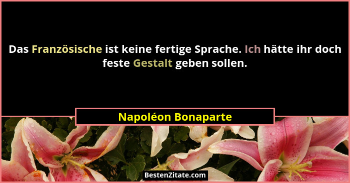 Das Französische ist keine fertige Sprache. Ich hätte ihr doch feste Gestalt geben sollen.... - Napoléon Bonaparte
