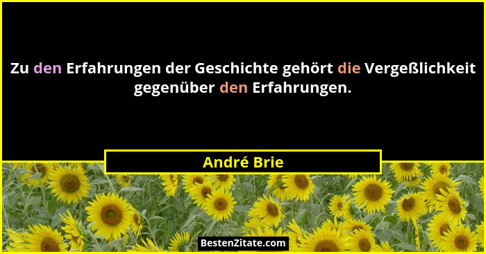 Zu den Erfahrungen der Geschichte gehört die Vergeßlichkeit gegenüber den Erfahrungen.... - André Brie