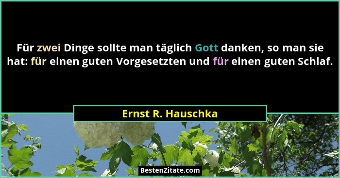 Für zwei Dinge sollte man täglich Gott danken, so man sie hat: für einen guten Vorgesetzten und für einen guten Schlaf.... - Ernst R. Hauschka