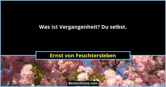 Was ist Vergangenheit? Du selbst.... - Ernst von Feuchtersleben