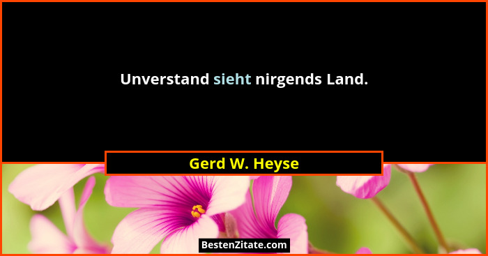 Unverstand sieht nirgends Land.... - Gerd W. Heyse