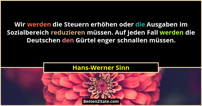 Wir werden die Steuern erhöhen oder die Ausgaben im Sozialbereich reduzieren müssen. Auf jeden Fall werden die Deutschen den Gürtel... - Hans-Werner Sinn