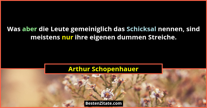 Was aber die Leute gemeiniglich das Schicksal nennen, sind meistens nur ihre eigenen dummen Streiche.... - Arthur Schopenhauer