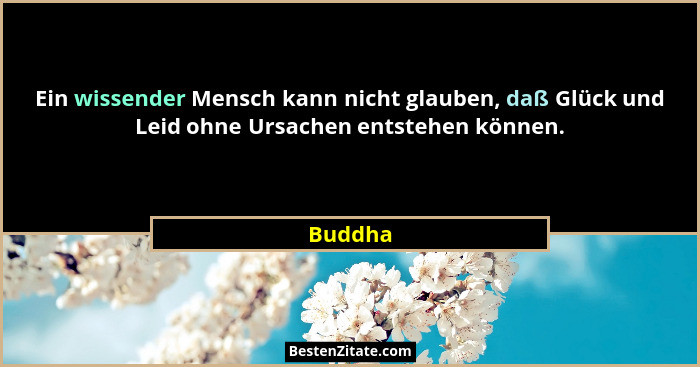 Ein wissender Mensch kann nicht glauben, daß Glück und Leid ohne Ursachen entstehen können.... - Buddha