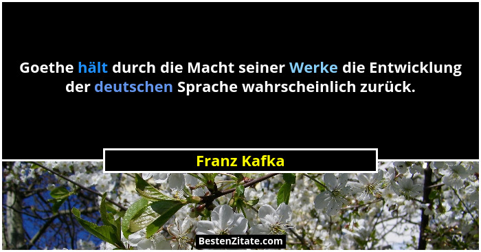 Goethe hält durch die Macht seiner Werke die Entwicklung der deutschen Sprache wahrscheinlich zurück.... - Franz Kafka