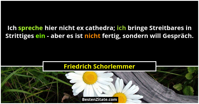 Ich spreche hier nicht ex cathedra; ich bringe Streitbares in Strittiges ein - aber es ist nicht fertig, sondern will Gespräch... - Friedrich Schorlemmer