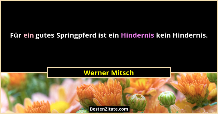 Für ein gutes Springpferd ist ein Hindernis kein Hindernis.... - Werner Mitsch