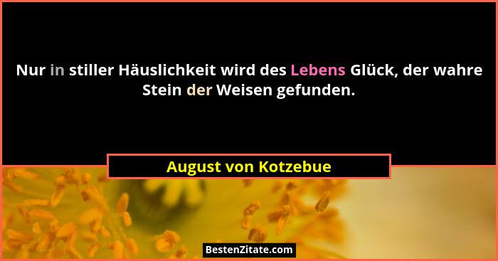 Nur in stiller Häuslichkeit wird des Lebens Glück, der wahre Stein der Weisen gefunden.... - August von Kotzebue