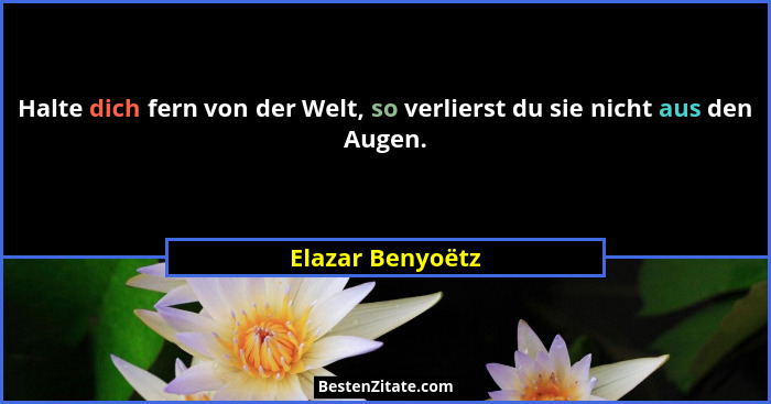 Halte dich fern von der Welt, so verlierst du sie nicht aus den Augen.... - Elazar Benyoëtz
