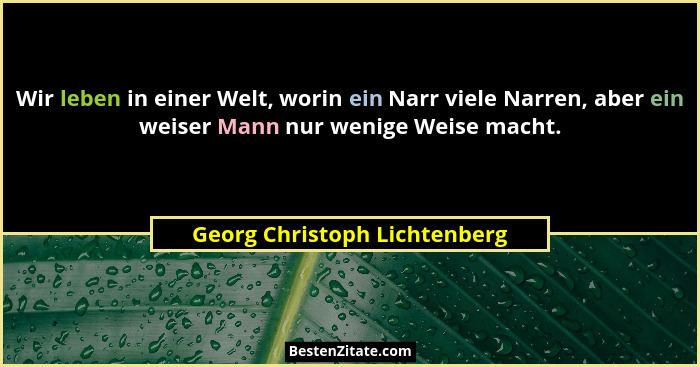 Wir leben in einer Welt, worin ein Narr viele Narren, aber ein weiser Mann nur wenige Weise macht.... - Georg Christoph Lichtenberg
