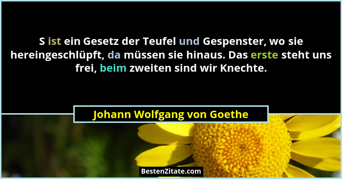 S ist ein Gesetz der Teufel und Gespenster, wo sie hereingeschlüpft, da müssen sie hinaus. Das erste steht uns frei, beim... - Johann Wolfgang von Goethe