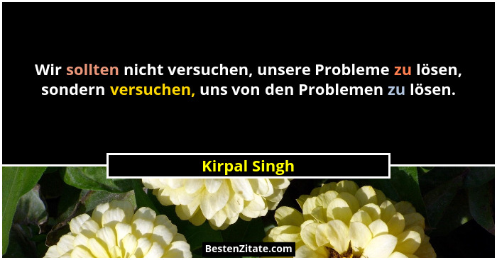 Wir sollten nicht versuchen, unsere Probleme zu lösen, sondern versuchen, uns von den Problemen zu lösen.... - Kirpal Singh