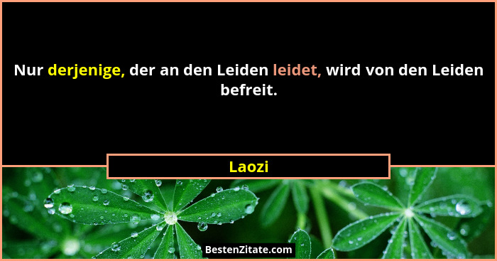 Nur derjenige, der an den Leiden leidet, wird von den Leiden befreit.... - Laozi