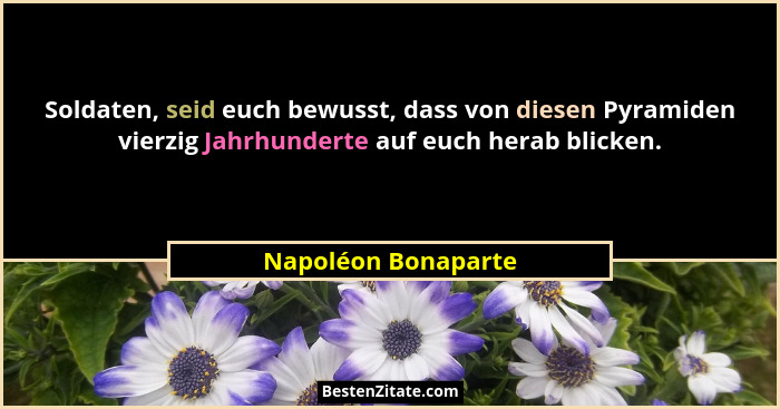 Soldaten, seid euch bewusst, dass von diesen Pyramiden vierzig Jahrhunderte auf euch herab blicken.... - Napoléon Bonaparte