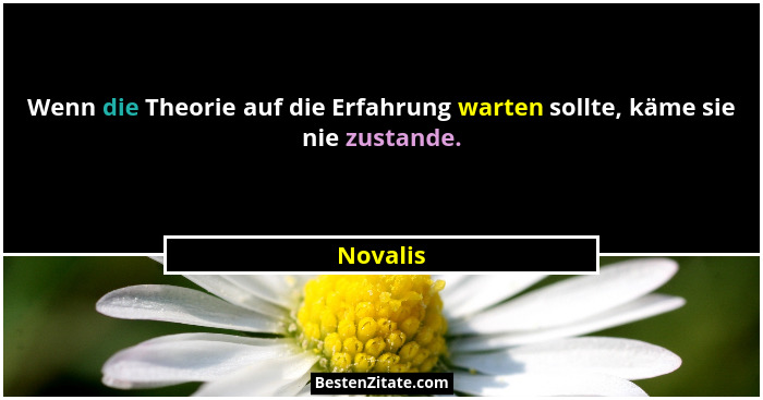 Wenn die Theorie auf die Erfahrung warten sollte, käme sie nie zustande.... - Novalis