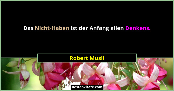 Das Nicht-Haben ist der Anfang allen Denkens.... - Robert Musil