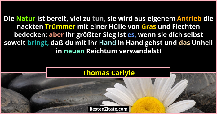 Die Natur ist bereit, viel zu tun, sie wird aus eigenem Antrieb die nackten Trümmer mit einer Hülle von Gras und Flechten bedecken; a... - Thomas Carlyle