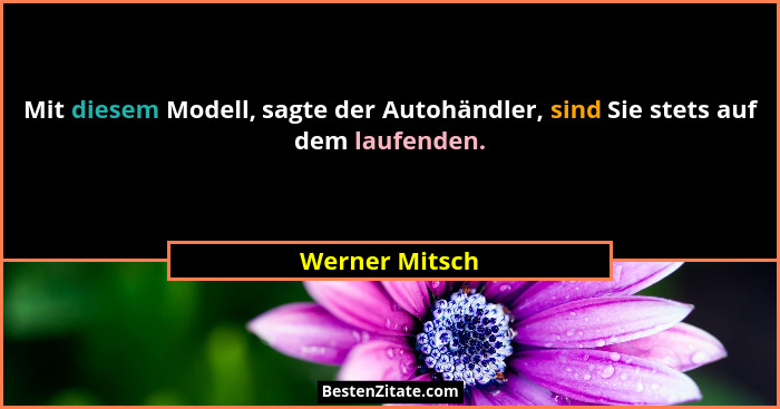 Mit diesem Modell, sagte der Autohändler, sind Sie stets auf dem laufenden.... - Werner Mitsch