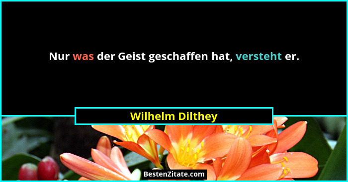 Nur was der Geist geschaffen hat, versteht er.... - Wilhelm Dilthey