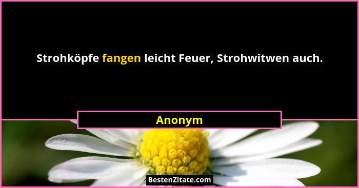 Strohköpfe fangen leicht Feuer, Strohwitwen auch.... - Anonym