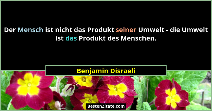 Der Mensch ist nicht das Produkt seiner Umwelt - die Umwelt ist das Produkt des Menschen.... - Benjamin Disraeli