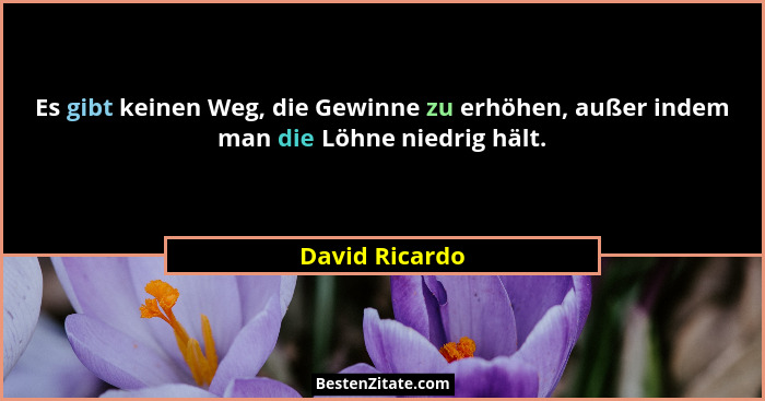 Es gibt keinen Weg, die Gewinne zu erhöhen, außer indem man die Löhne niedrig hält.... - David Ricardo