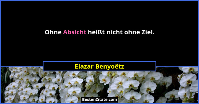 Ohne Absicht heißt nicht ohne Ziel.... - Elazar Benyoëtz