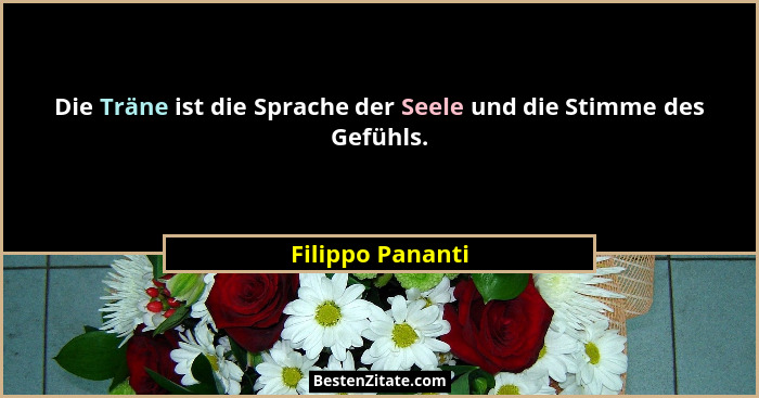 Die Träne ist die Sprache der Seele und die Stimme des Gefühls.... - Filippo Pananti