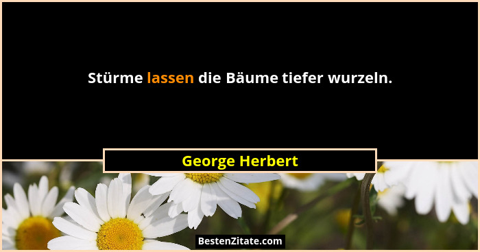 Stürme lassen die Bäume tiefer wurzeln.... - George Herbert