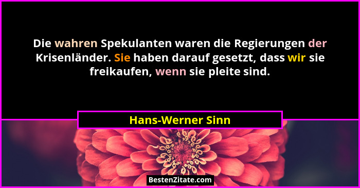 Die wahren Spekulanten waren die Regierungen der Krisenländer. Sie haben darauf gesetzt, dass wir sie freikaufen, wenn sie pleite s... - Hans-Werner Sinn
