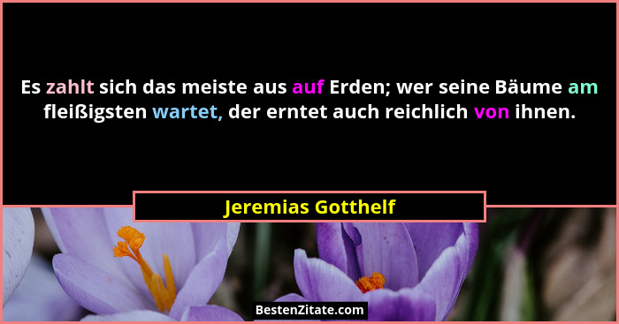 Es zahlt sich das meiste aus auf Erden; wer seine Bäume am fleißigsten wartet, der erntet auch reichlich von ihnen.... - Jeremias Gotthelf