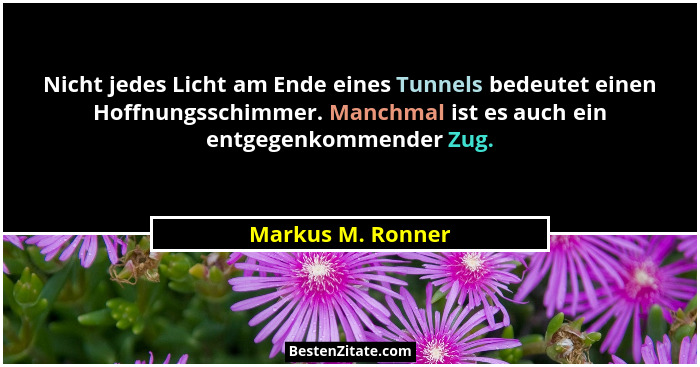 Nicht jedes Licht am Ende eines Tunnels bedeutet einen Hoffnungsschimmer. Manchmal ist es auch ein entgegenkommender Zug.... - Markus M. Ronner