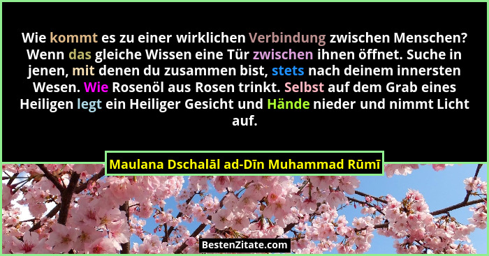 Wie kommt es zu einer wirklichen Verbindung zwischen Menschen? Wenn das gleiche Wissen eine Tür zwischen ihnen... - Maulana Dschalāl ad-Dīn Muhammad Rūmī