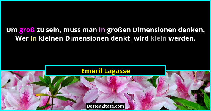 Um groß zu sein, muss man in großen Dimensionen denken. Wer in kleinen Dimensionen denkt, wird klein werden.... - Emeril Lagasse