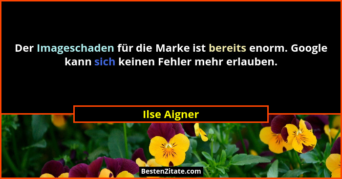 Der Imageschaden für die Marke ist bereits enorm. Google kann sich keinen Fehler mehr erlauben.... - Ilse Aigner