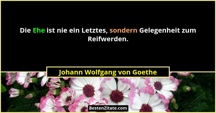 Die Ehe ist nie ein Letztes, sondern Gelegenheit zum Reifwerden.... - Johann Wolfgang von Goethe